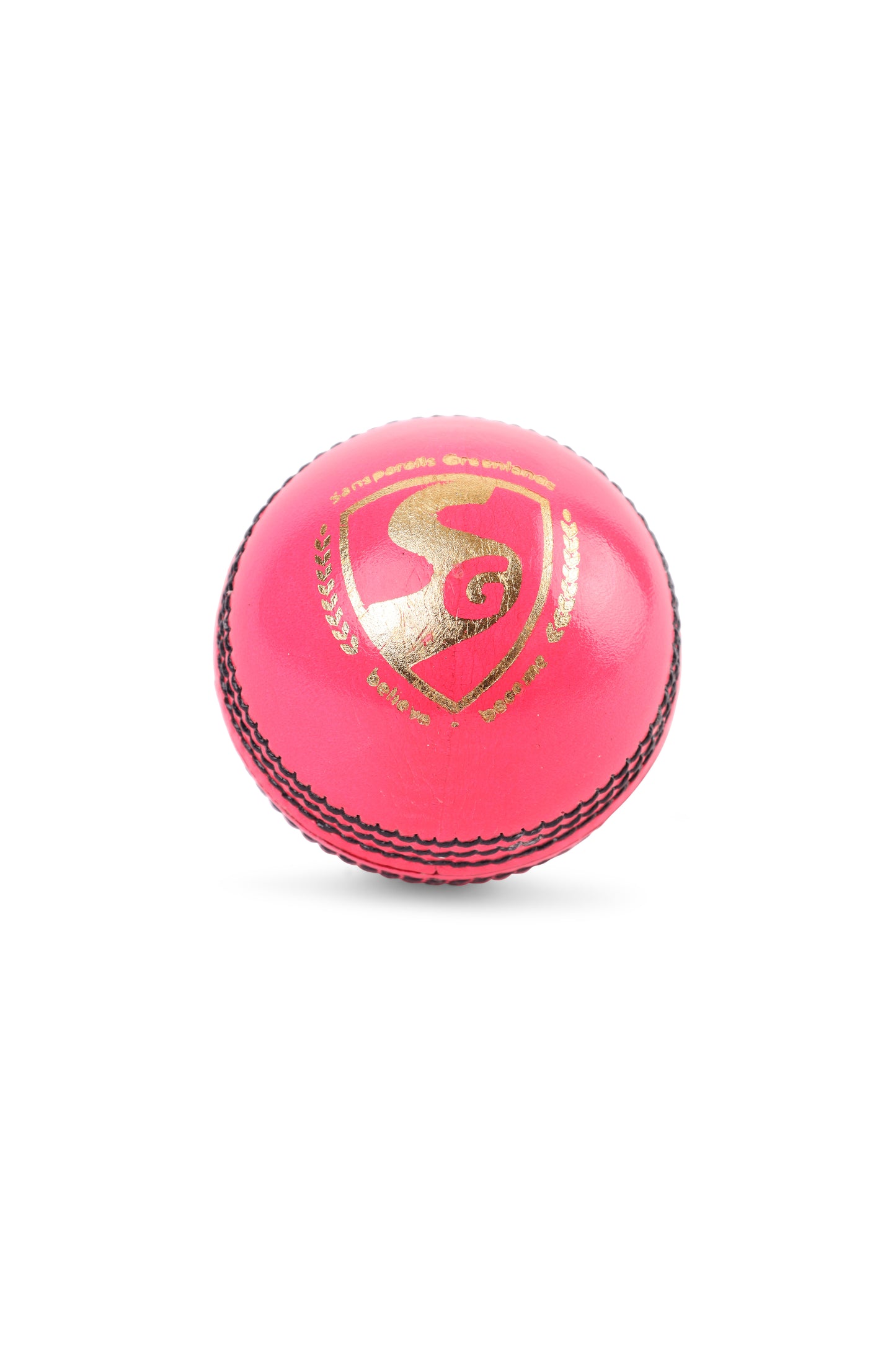 SG Club Pink Cricket Leather Ball
