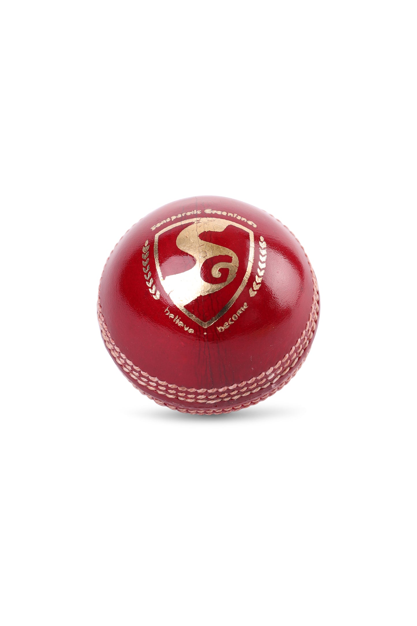 SG Shield 30 Red Cricket Leather Ball
