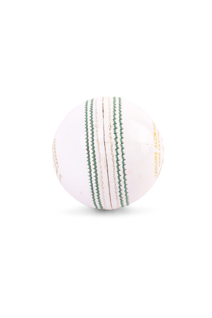 SG Club White Cricket Leather Ball