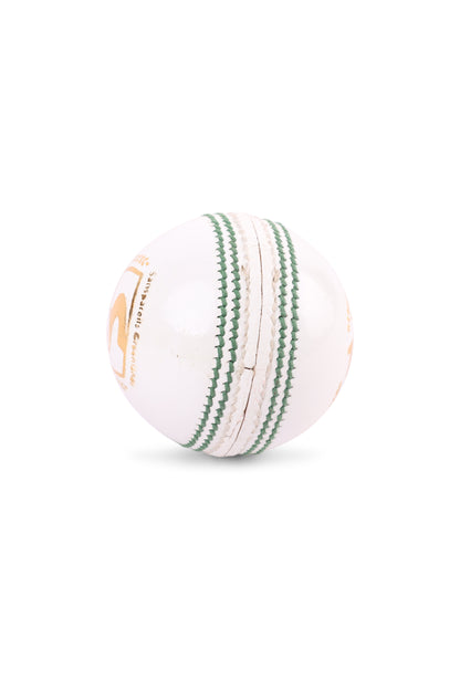 SG Test White Cricket Leather Ball