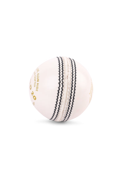 SG Shield 20 White Cricket Leather Ball