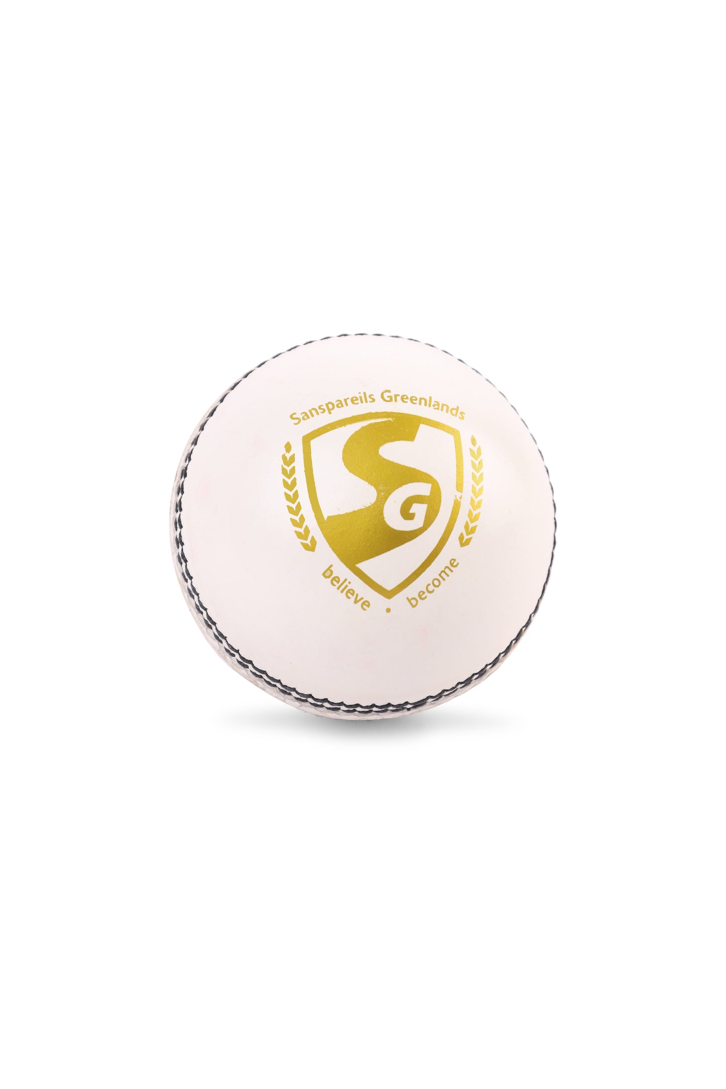 SG Shield 20 White Cricket Leather Ball
